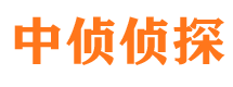 元宝市调查公司